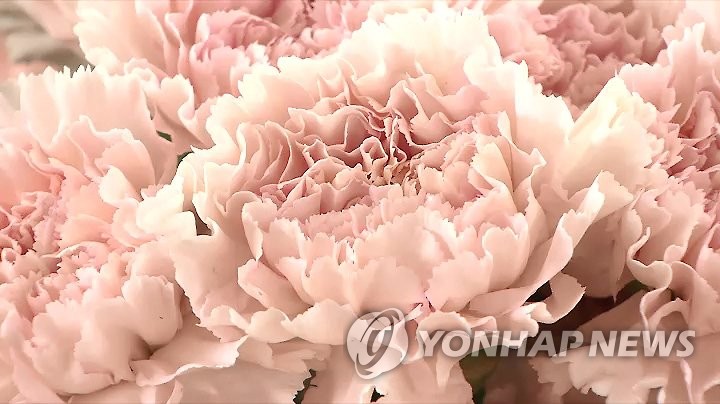 카네이션은 중고, 포켓몬 카드는 웃돈…가정의달 신풍속도