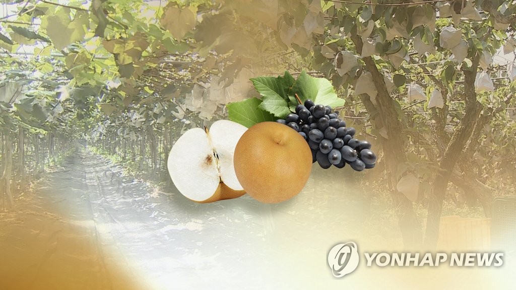 농특산물 할인행사 (CG)