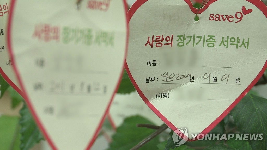 장기기증자 유족들, 하늘 향한 편지엔 온통 "사랑해" "보고싶어"