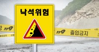 수명 400여년 보호수 '뚝'…강원 곳곳서 비 피해 잇따라