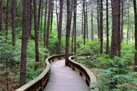 '더 건강한 숲으로'…전북도, 산림의 경제·환경적 가치 높인다