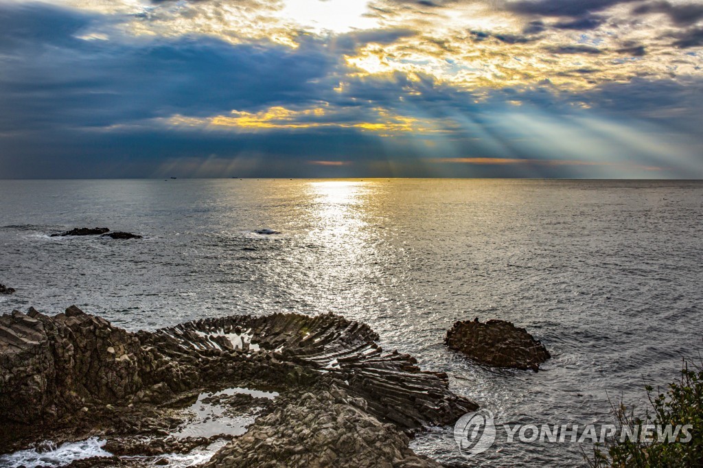 경북 동해안 국가지질공원 내 양남 주상절리군