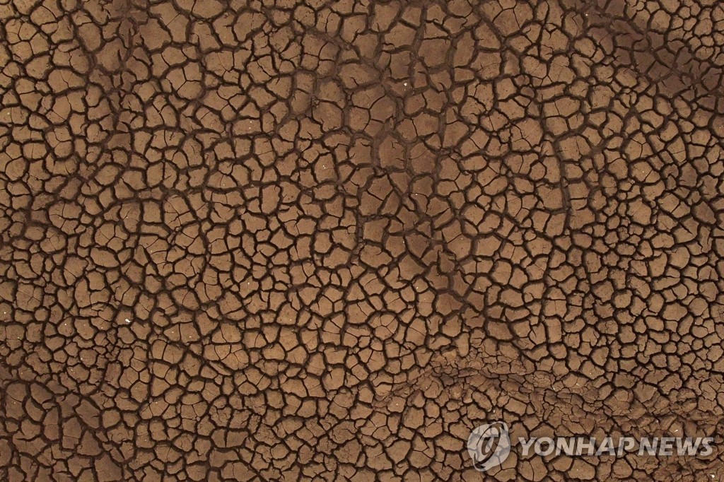 심각한 아르헨티나 가뭄 현장