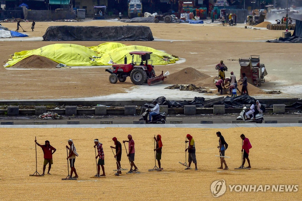 "인도, 관세 20% 이하로 낮추려 美와 협상…농업개방…