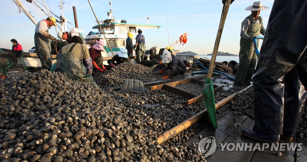 벌교꼬막 생산·가공·유통을 원스톱으로 | 연합뉴스