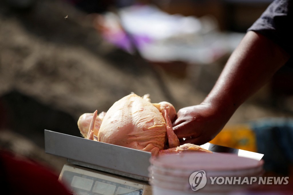닭고기 무게를 재고 있는 페루 리마 시장의 상인