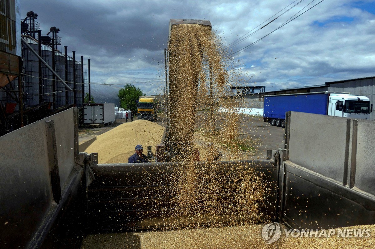 우크라이나 오데사 지역에서 수확한 곡물을 차량에 싣는 농민들