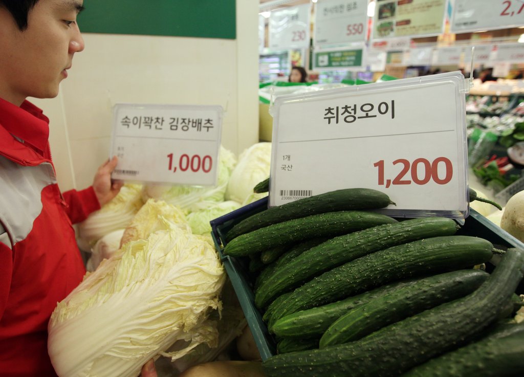 <오이, 배추 한 통보다 비싸네>(종합) | 연합뉴스