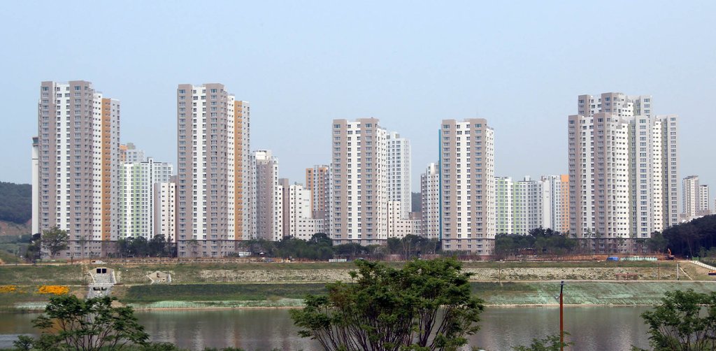 세종시표 로컬푸드 싱싱장터 개설…주 5회 운영 | 연합뉴스