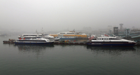 서해 짙은 안개…인천 6개 항로 여객선 운항 차질