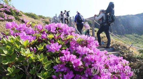 한라산 입산 제한시간 8월까지 최장 1시간 연장