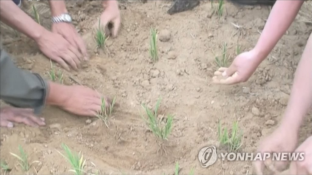 북한도 가뭄 '비상'…속 타는 북한 농심