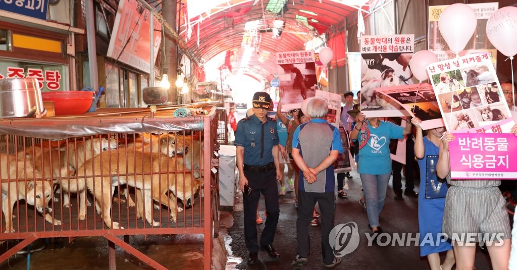 [르포] 존폐 갈림길에 선 구포 가축시장 복날 풍경 | 연합뉴스