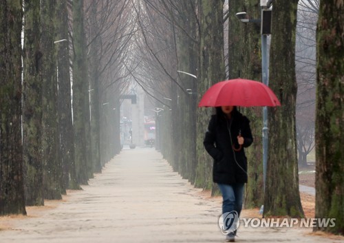 월요일 전국에 비…미세먼지 씻기고 포근