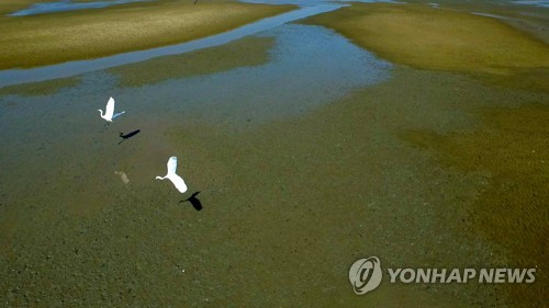 세계유산위원회 모레 개막…'한국의 갯벌' 등재는 오리무중