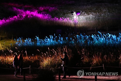 서울 하늘공원 18∼24일 억새축제…일주일간 야간개방