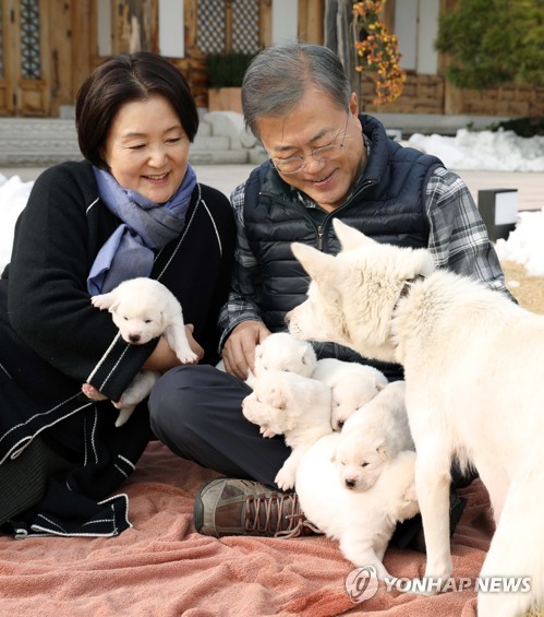 Moon con cachorros de una perra regalada por Corea del Norte