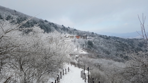 Mundo blanco