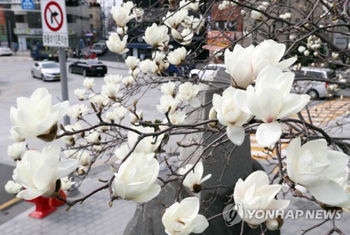 부산 쌀쌀한 날씨…"바람 많이 불어요"