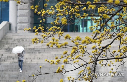 대전·충남 대체로 흐림…오후부터 눈 또는 비