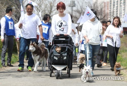 제주서 '우리집 막둥이' 반려동물 페스티벌 내달 4∼5일 열어