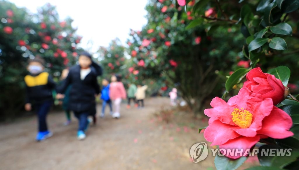 韓国・済州島への観光客　今年１５００万人突破へ＝外国人は４割増