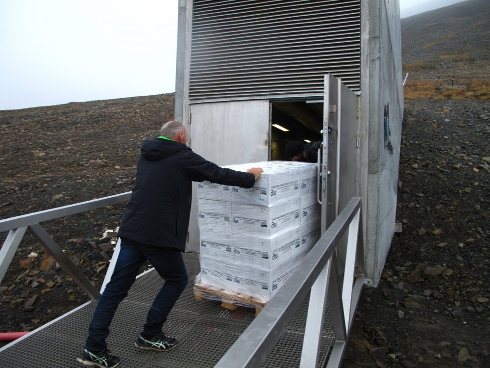 Korean plant seeds in Svalbard Global Seed Vault | Yonhap News Agency