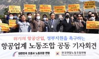 청와대 분수대 앞 항공업계 노조