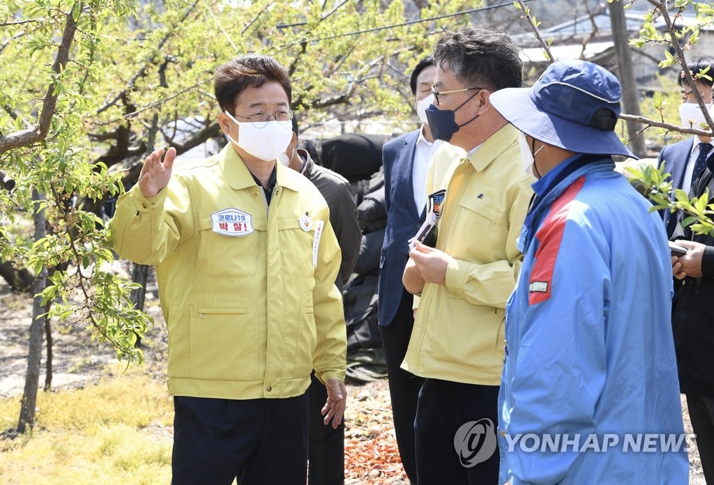 이철우 경북지사 과수 피해 현장 점검