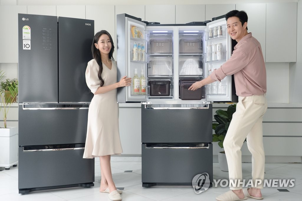 This photo provided by LG Electronics Inc. on Aug. 23, 2020, shows the company's new LG Dios Kimchi Toktok kimchi refrigerator. (PHOTO NOT FOR SALE) (Yonhap)