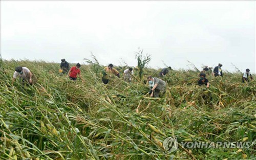 황해남도 태풍피해 복구현장에 중앙당 간부 '총동원'