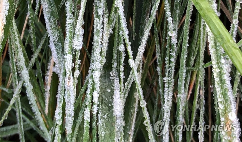 서리 내린 용평