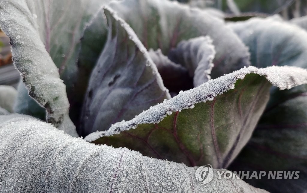 Seoul posts 6.6 C on coldest day this fall