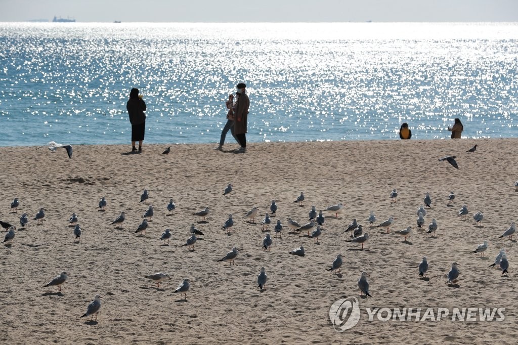 겨울바다에 나온 시민들