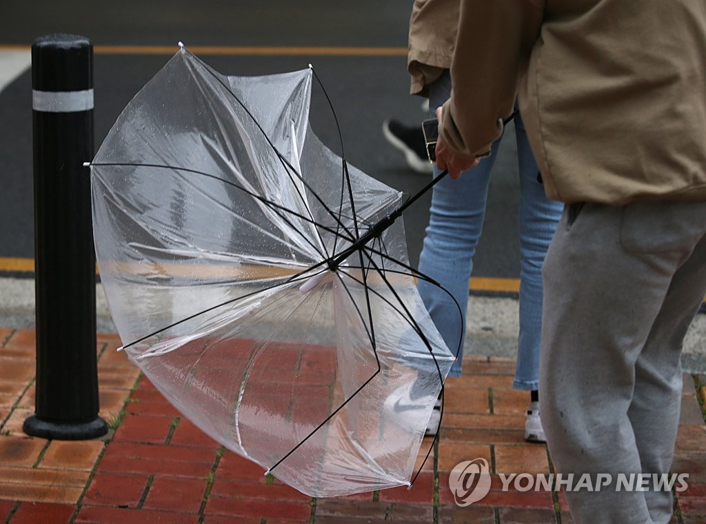 강풍에 뒤집힌 우산