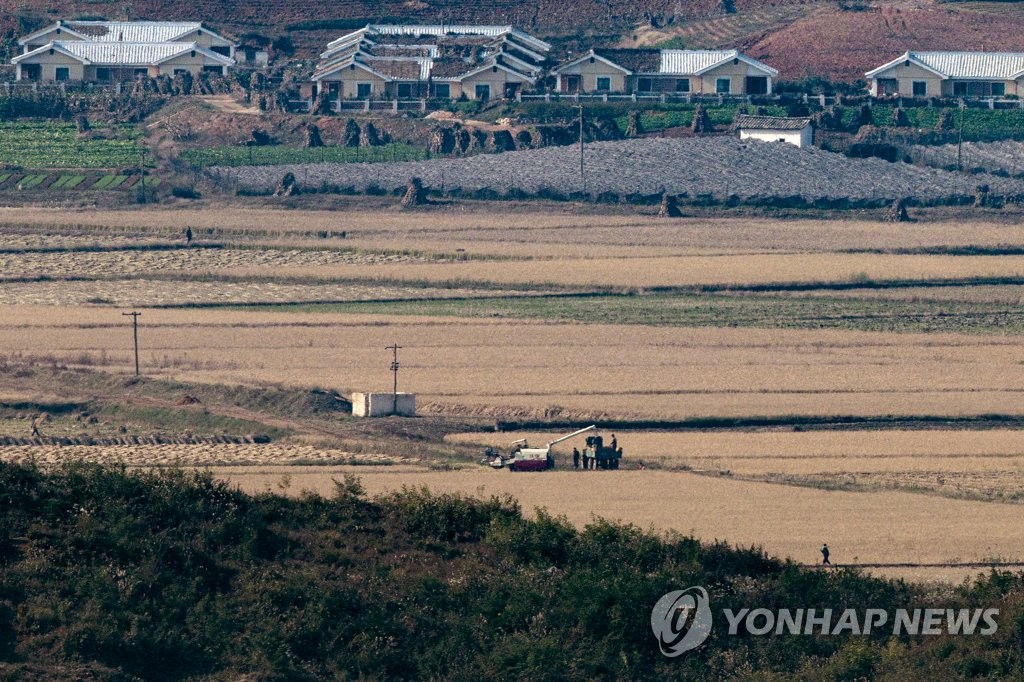 North Korean farmers harvest rice at a field in Kaepung on the western front-line border with South Korea, in this photo taken from an observatory in the South Korean border city of Paju on Oct. 19, 2021. (Yonhap)