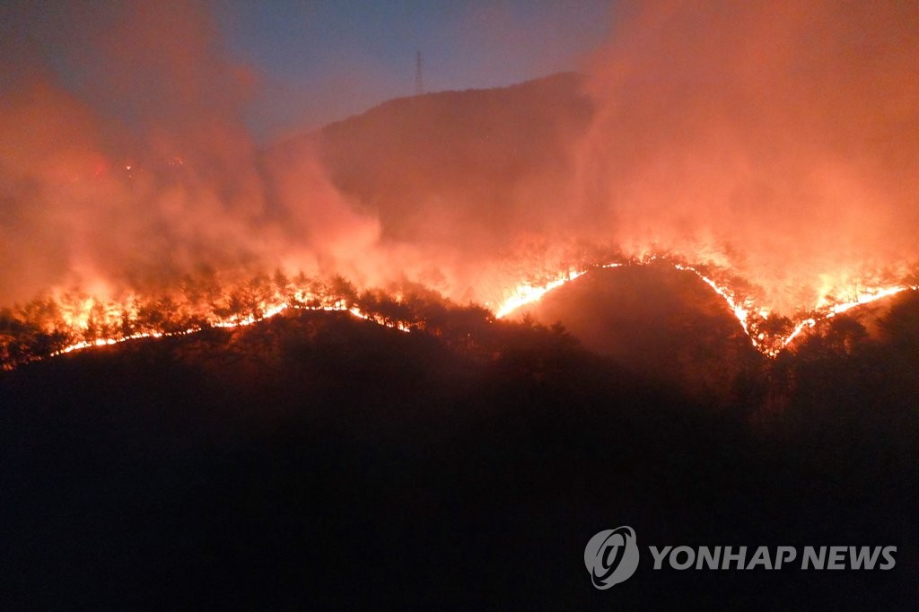 慶尚北道・盈徳で発生した山火事＝１６日、盈徳（聯合ニュース）