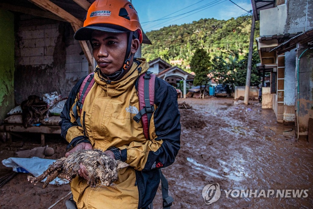 고양이 구조하는 인도네시아 구조대원