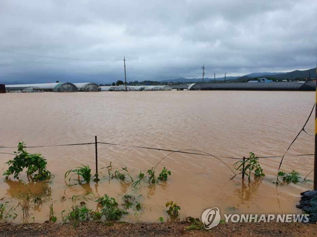 폭우로 침수된 충남 서산 농경지