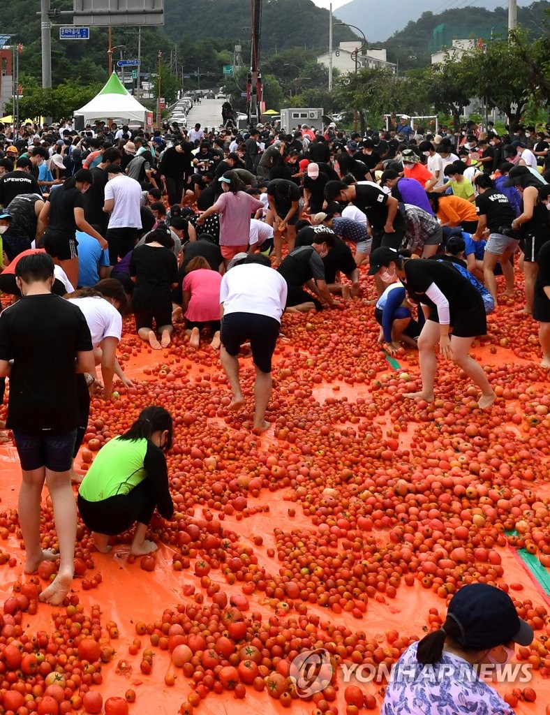 토마토축제 열리는 화천군