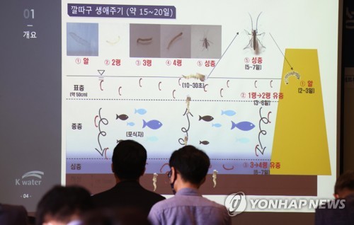 먹는물 수질감시항목에 '깔따기 유충' 추가