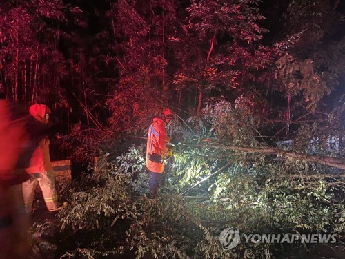 경남도, 호우 대비 비상근무 돌입…합천서 가로수 쓰러져