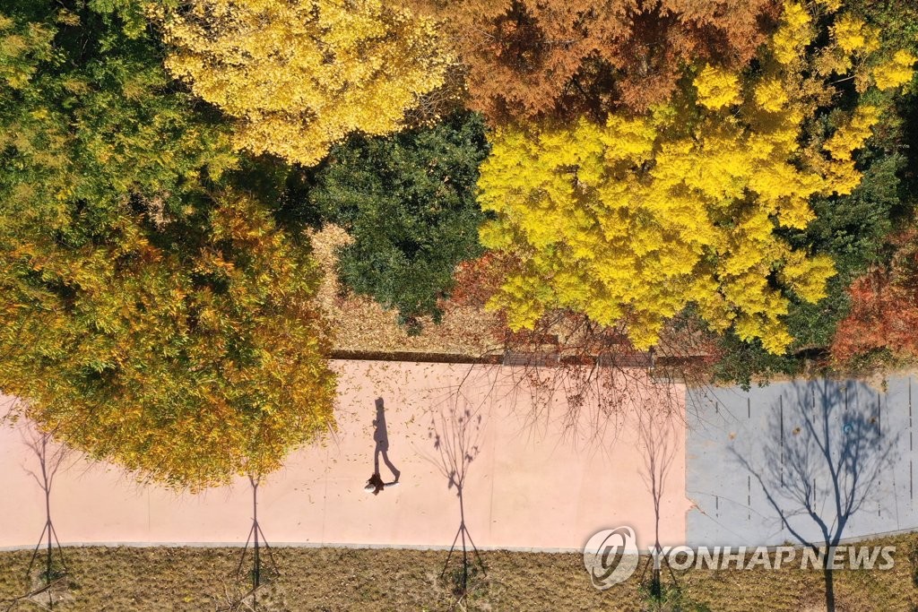 광주 북구 우산근린공원의 가을 풍경