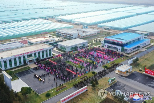 Newly built homes around N. Korea's new greenhouse farm