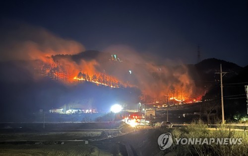 Incendio forestal