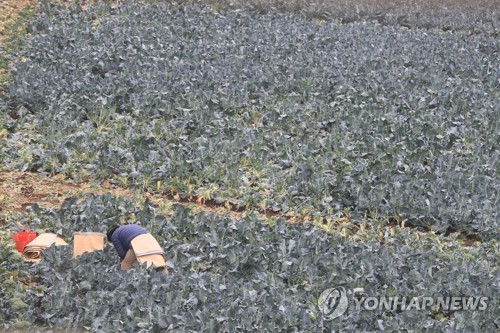 제주 대체로 흐림…낮 최고 8∼10도