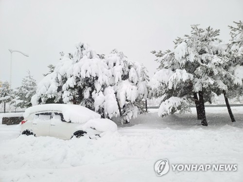 A vehicle remains covered in snow in Sokcho, Gangwon Province on Jan. 15, 2023 after heavy snowfall was reported. (Yonhap)