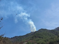 양구 산불 약 4시간 만에 진화…화천 군 사격장 화재는 70% 완료(종합)