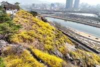 [날씨] 봄비 내리다 오후에 그쳐…수도권 미세먼지 '나쁨'