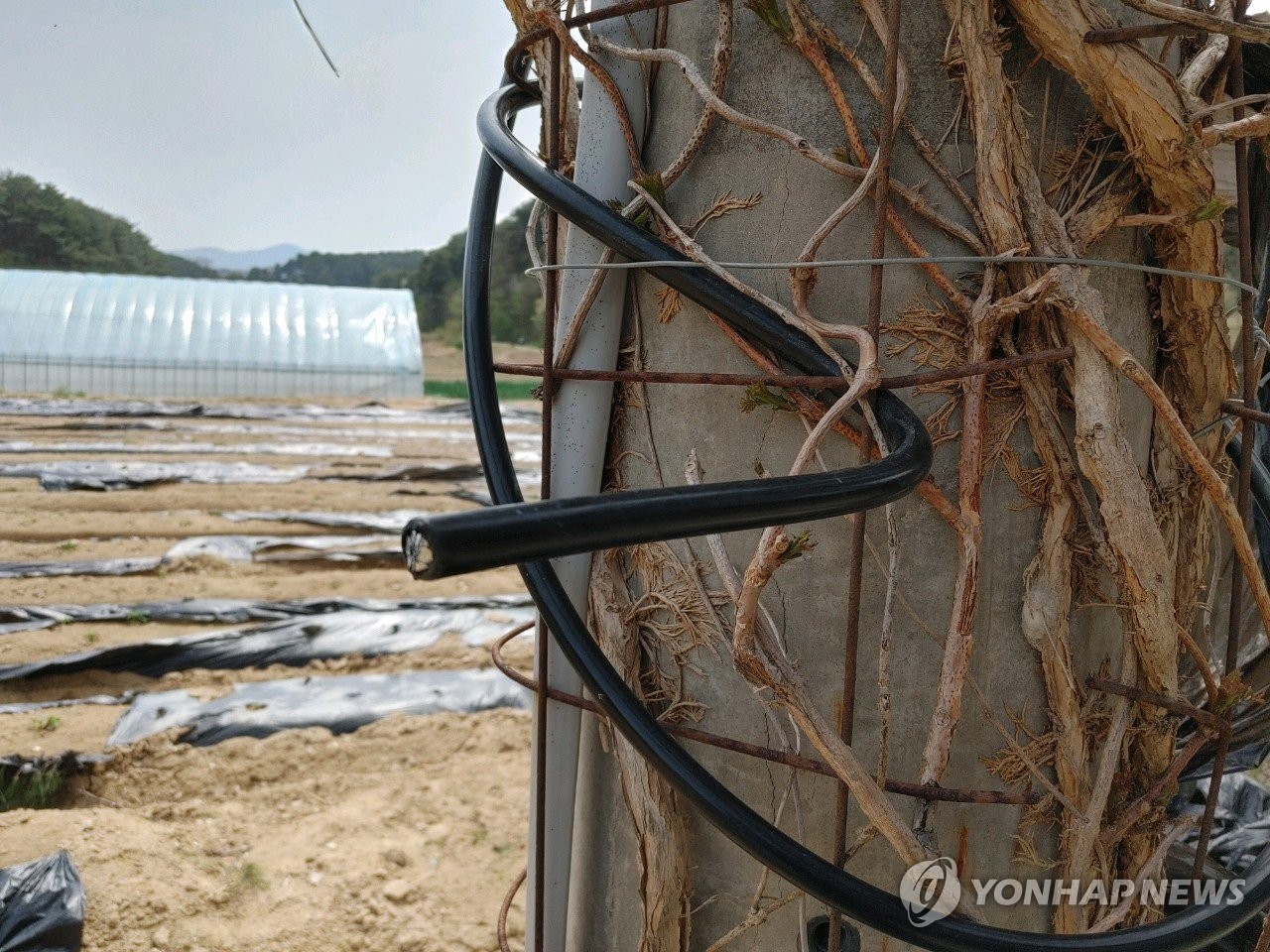 강릉산불 원인으로 지목된 '전선 단선'